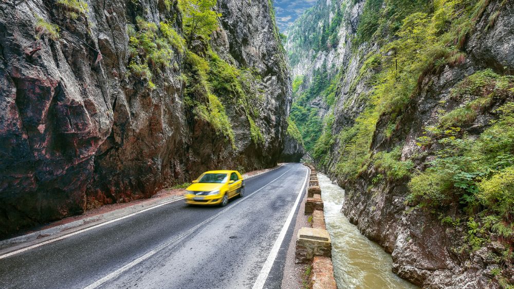 Car Driving Through Bhutan Valley - Bhutan Rental and Travel Blog